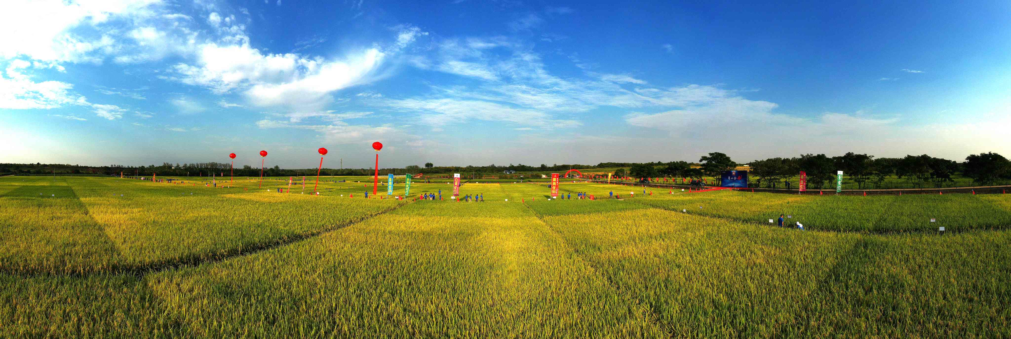 荃銀高科 版權所有 (50)(1).JPG